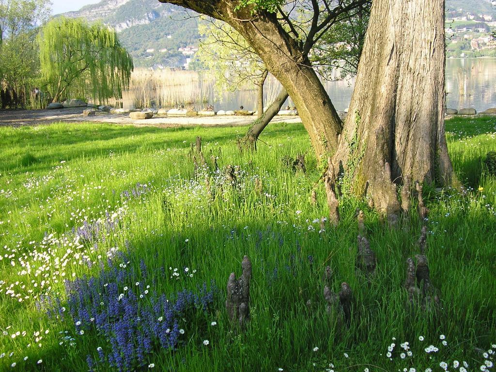 Relais Di Villa Adinolfi Annone di Brianza Dış mekan fotoğraf